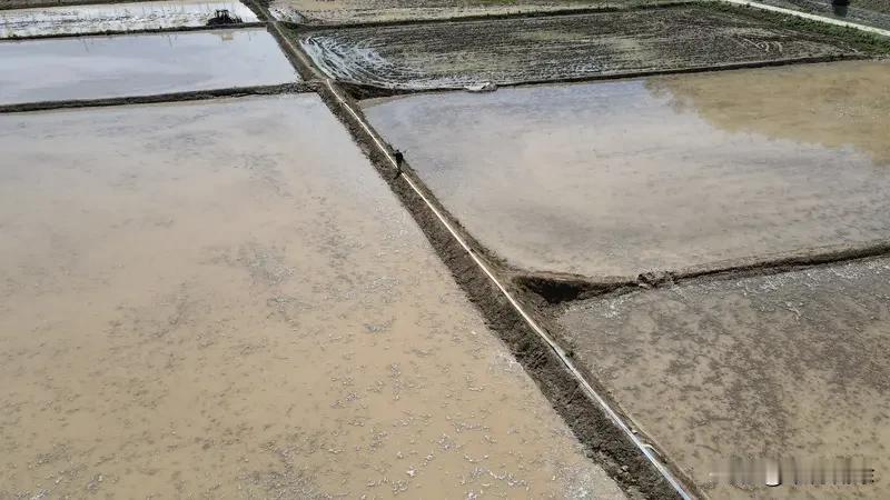 看到“春播千亩稻”这个上联，我脑海中立马浮现出“秋收万石粮”这句下联。
春天，农