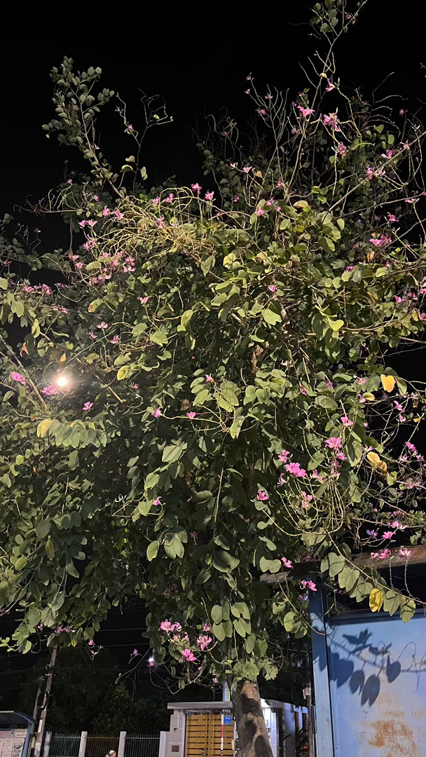 日行一善  丨‎每日一善 善良是一盏灯，你点亮自己的同时，也照亮了别人的路。愿我