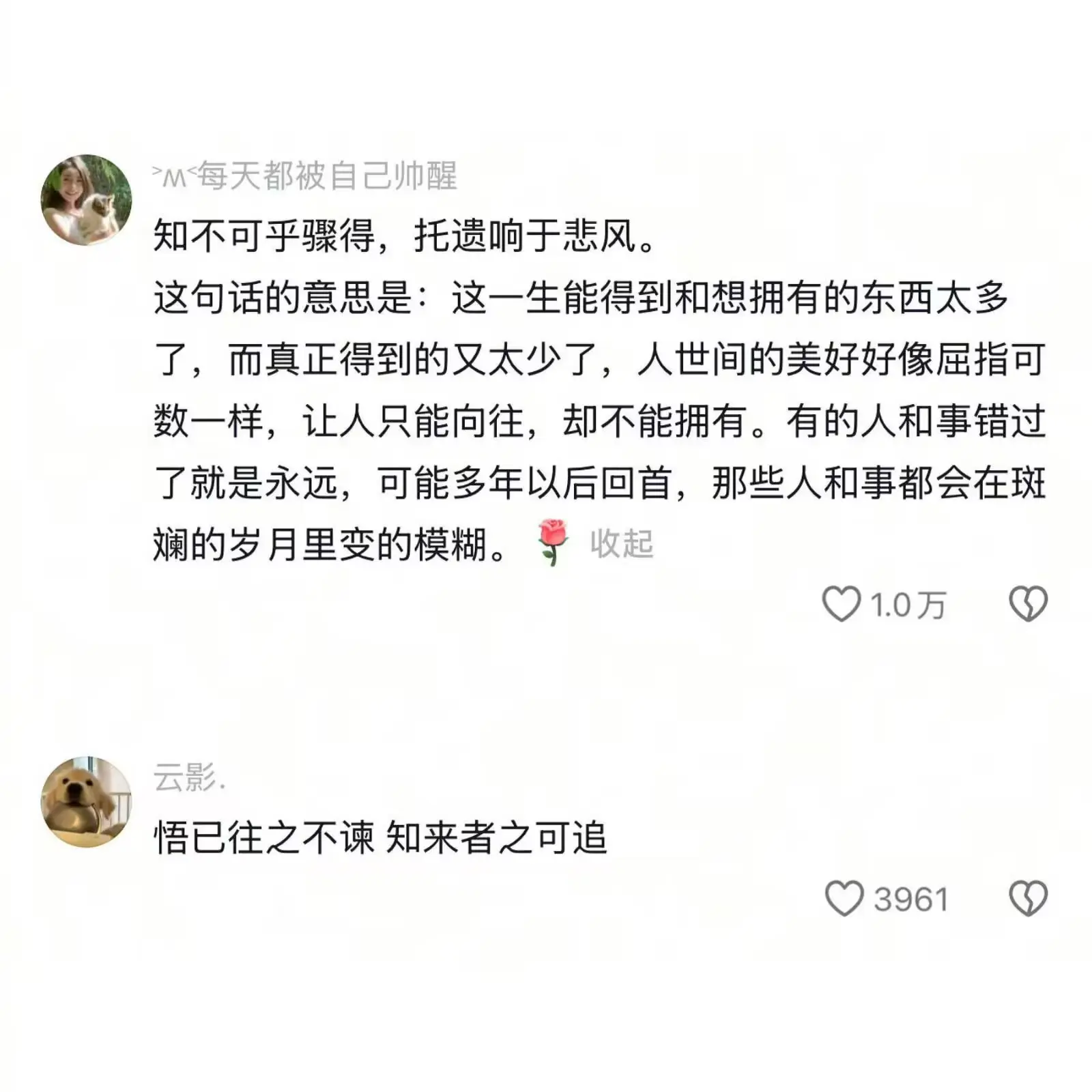 后来你才明白 高中语文课本里的话 字字如金