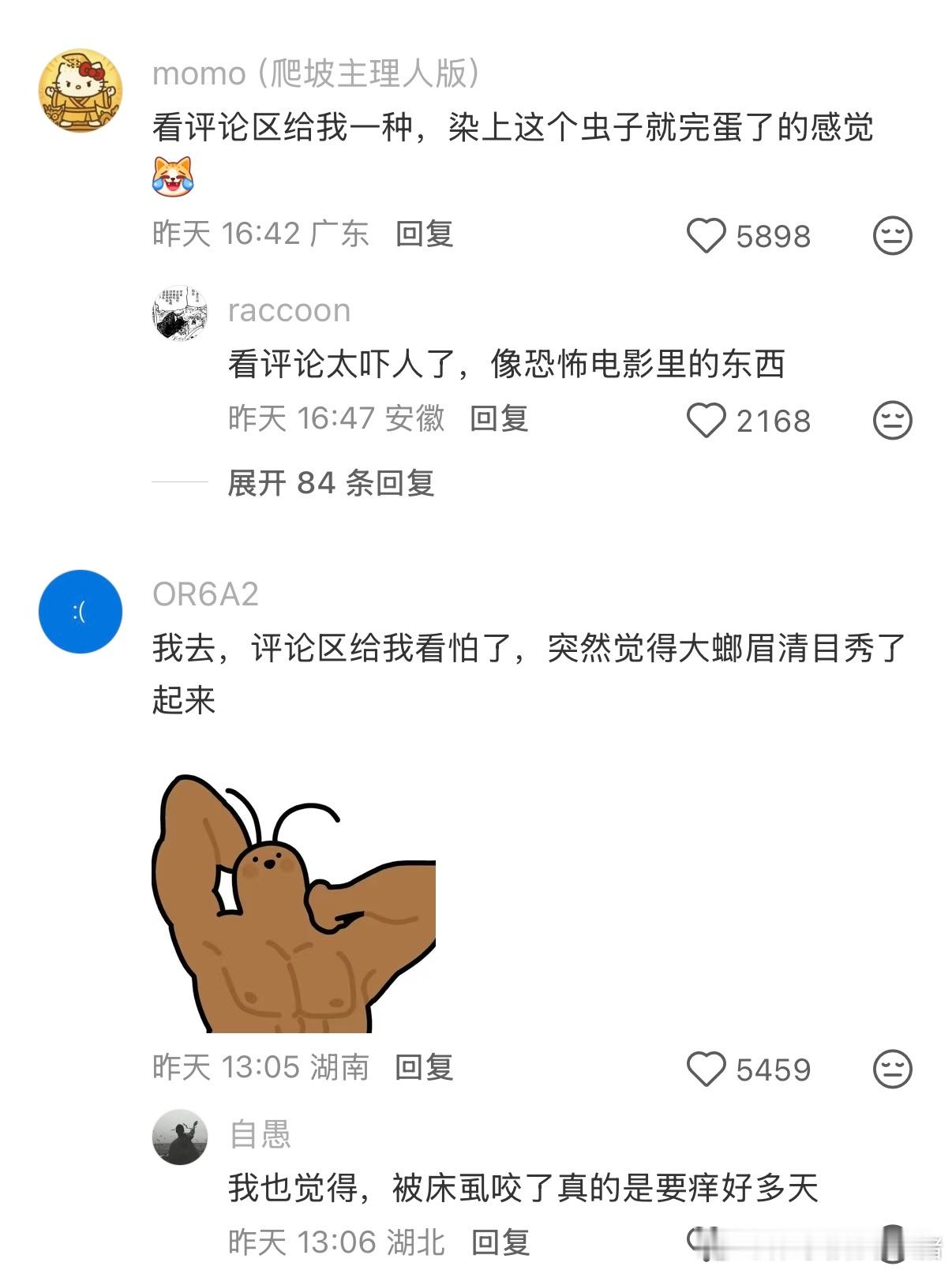 原来床虱比蟑螂更可怕……