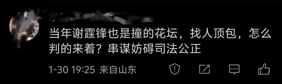当年谢霆锋顶包案轰动一时，他就是撞了路边花坛，英皇司机冒充肇事司机，后来经过廉政