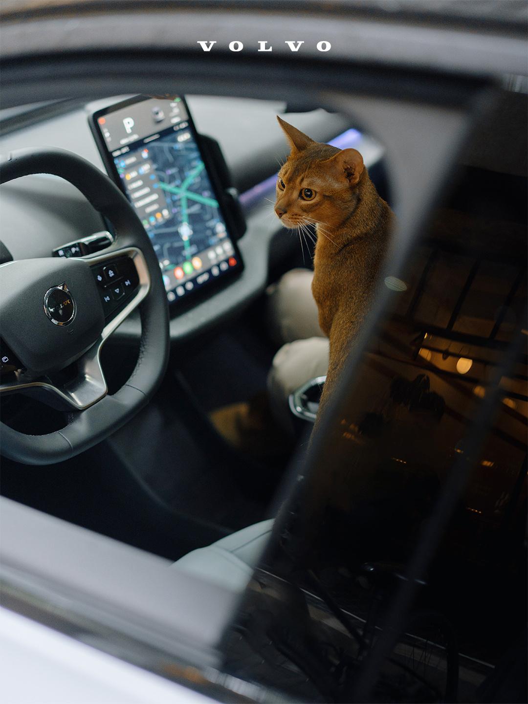 聊汽车安全，永远绕不开那个将安全刻进DNA的北欧品牌。今天扒一扒它的硬核技术底牌