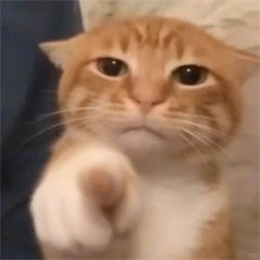 继续签到马上要回去上班了，玉玉           