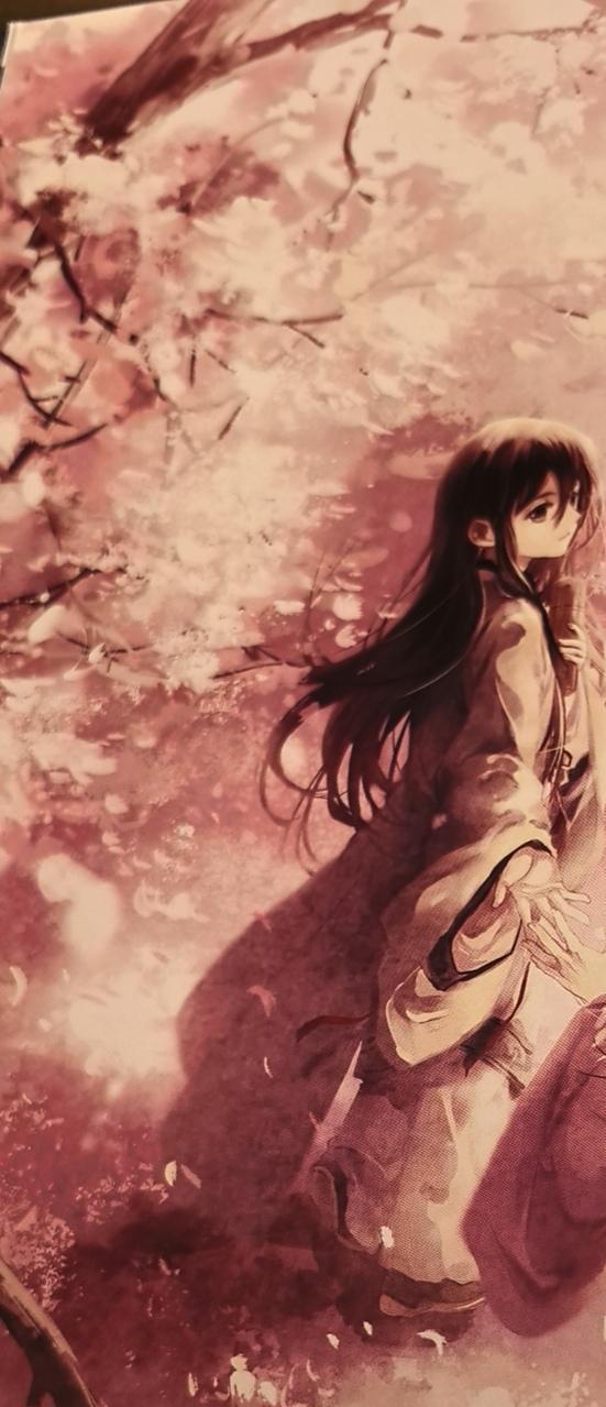6733.少女时期和寡妇时期都很好味 