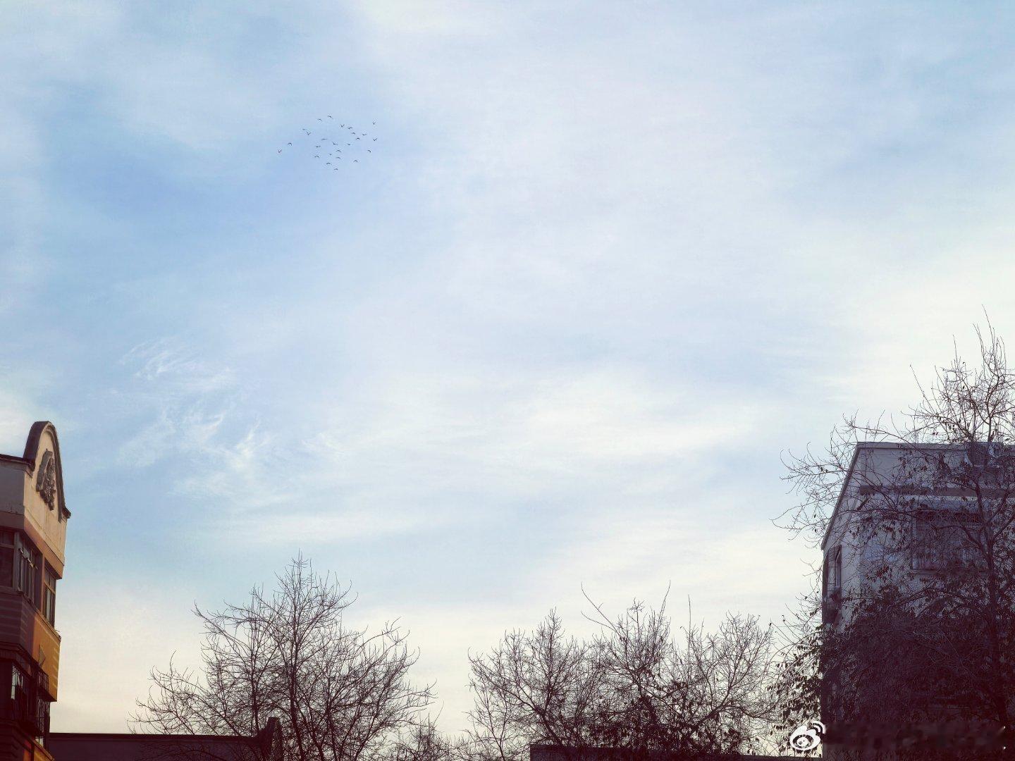 ◡̈ 🔆 𝙈𝙤𝙧𝙣𝙞𝙣𝙜 💐 🌸早安吖🙋♀️生活既要尽心，