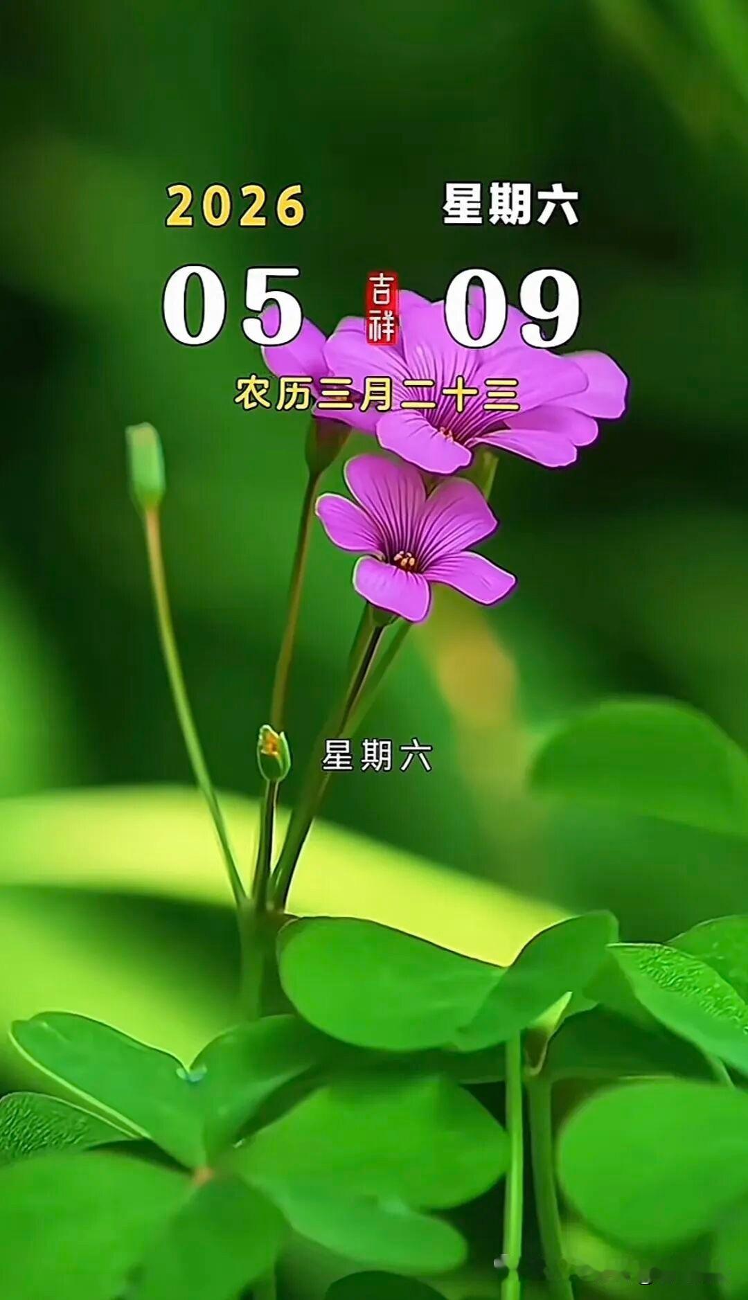 我经常带二宝去公园玩，发现带孩子最多的就是保姆，再就是爷爷奶奶姥姥姥爷，其他人很