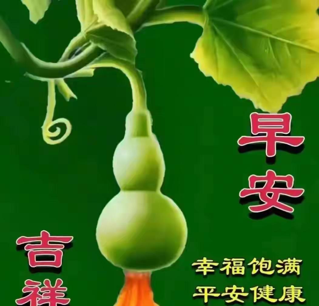 别再光盯着女明星那几张“冻龄”脸瞎羡慕了，真以为全靠医美往脸上砸钱？
圈内最近流