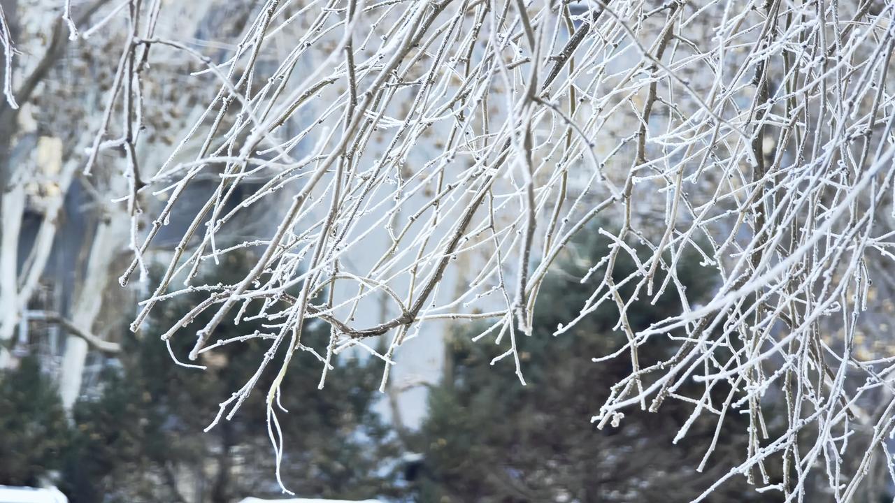 晶莹剔透
