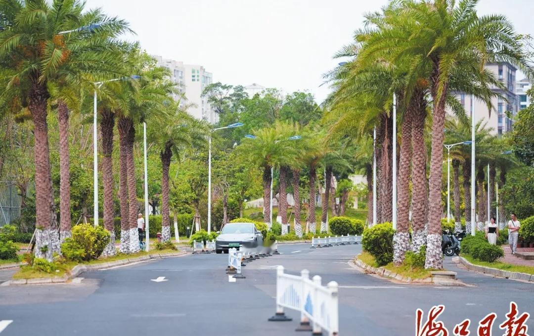 【海口美丽沙环一路排水管网更新改造工程见实效】记者了解到，受历史因素影响，美丽沙