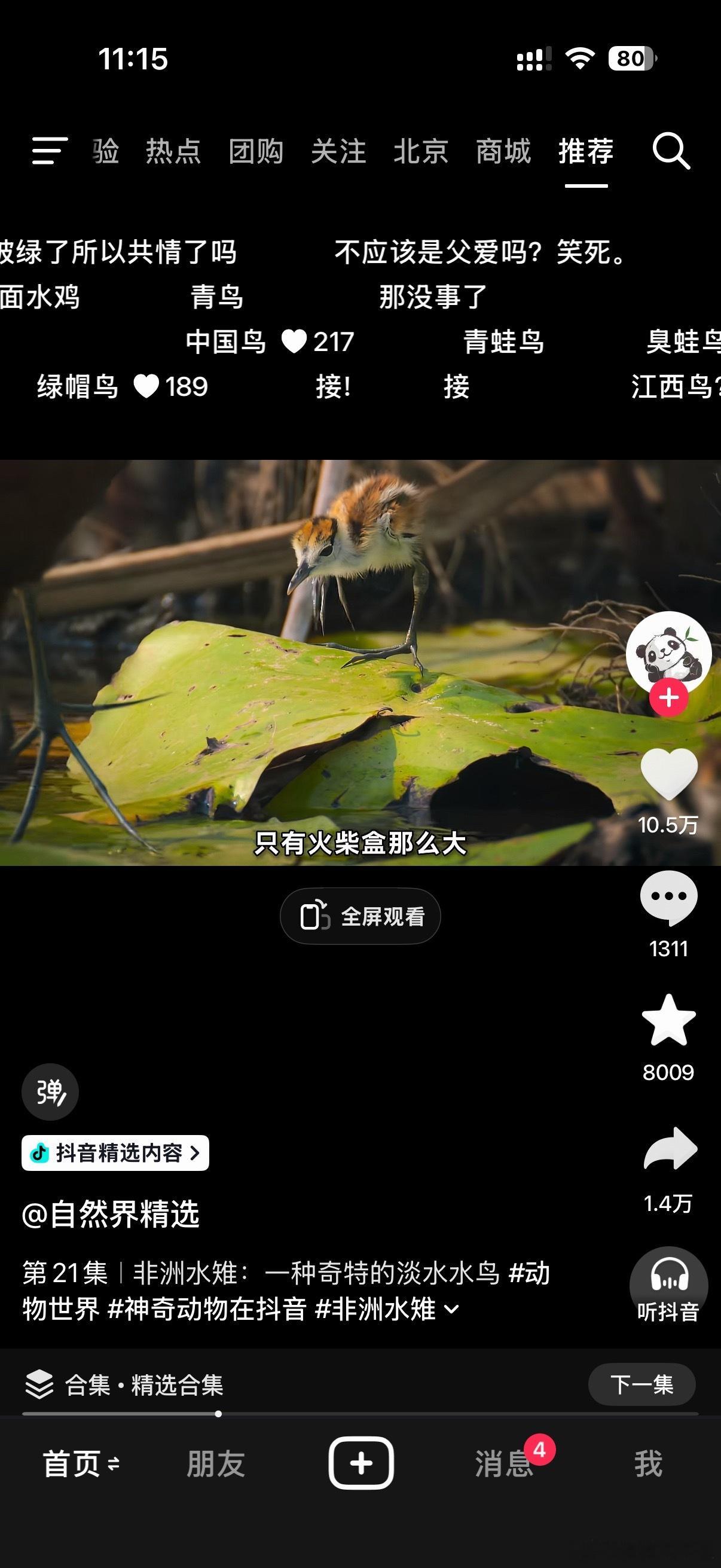 看动物科普有种鸟是一妻多夫，雄鸟承担更多繁育责任，然后立马又有人急了，中国鸟绿帽