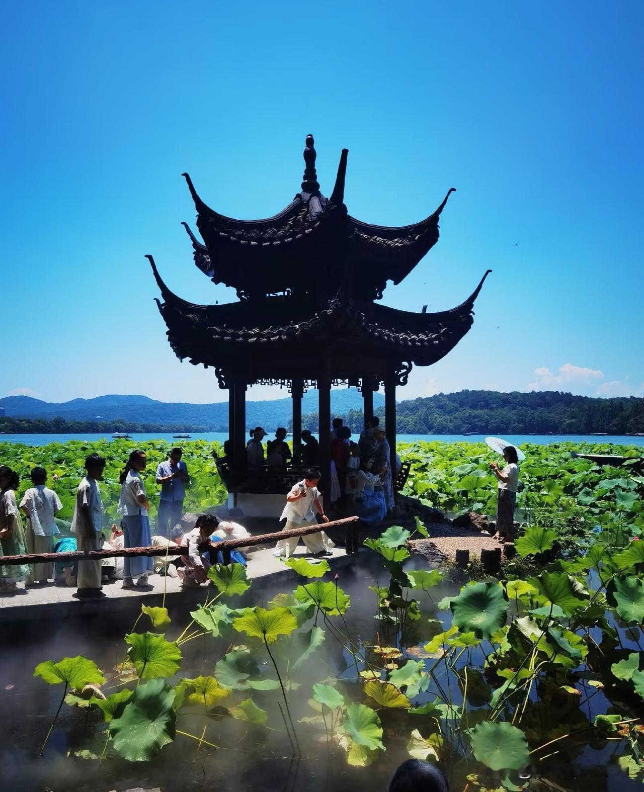 杭州西湖北线行，行行摄摄西湖十景之一“曲院风荷”，打卡赏荷网红地湛碧楼，湛碧楼面