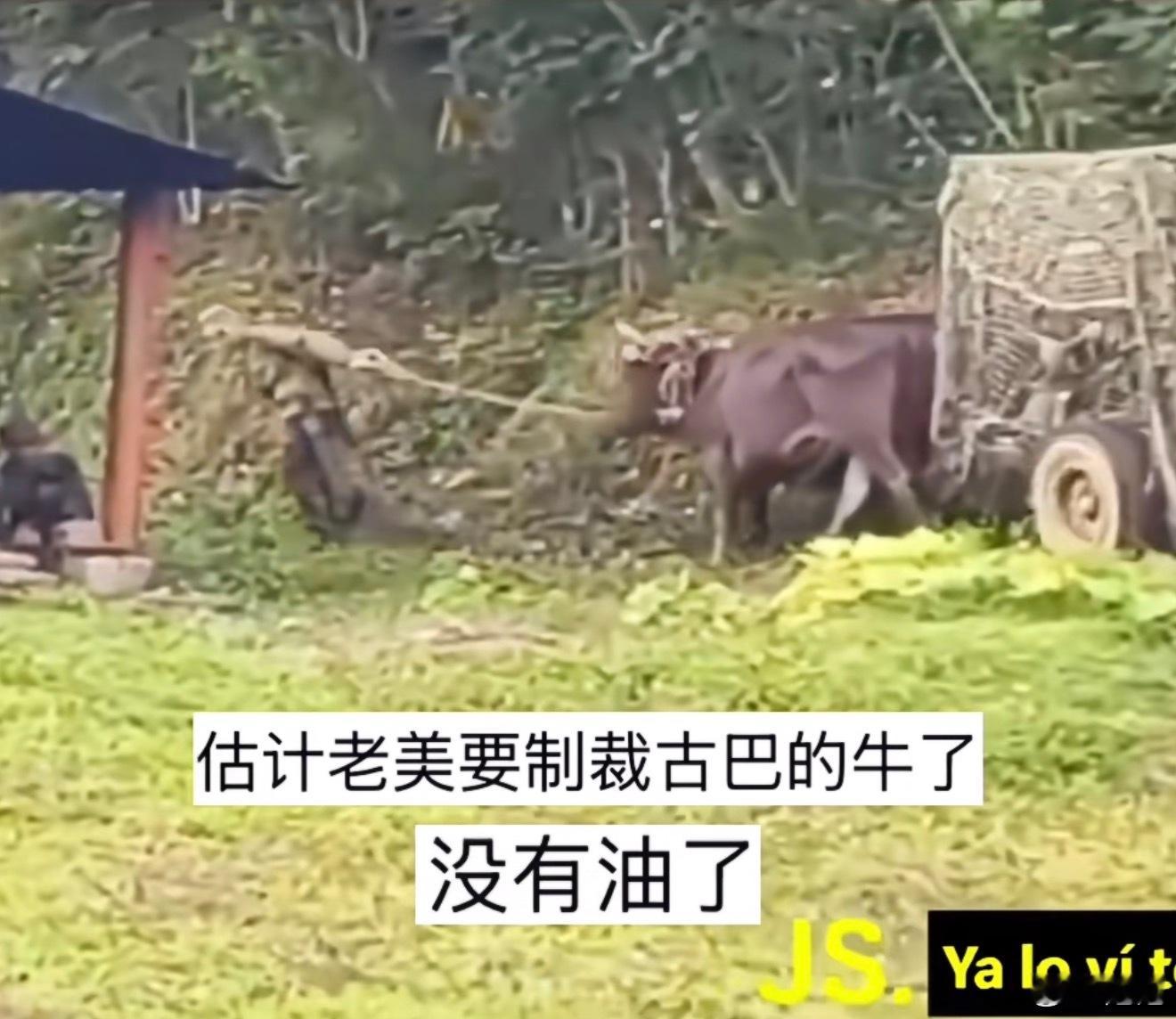 古巴发布视频表示应对老美他们信心满满！ 