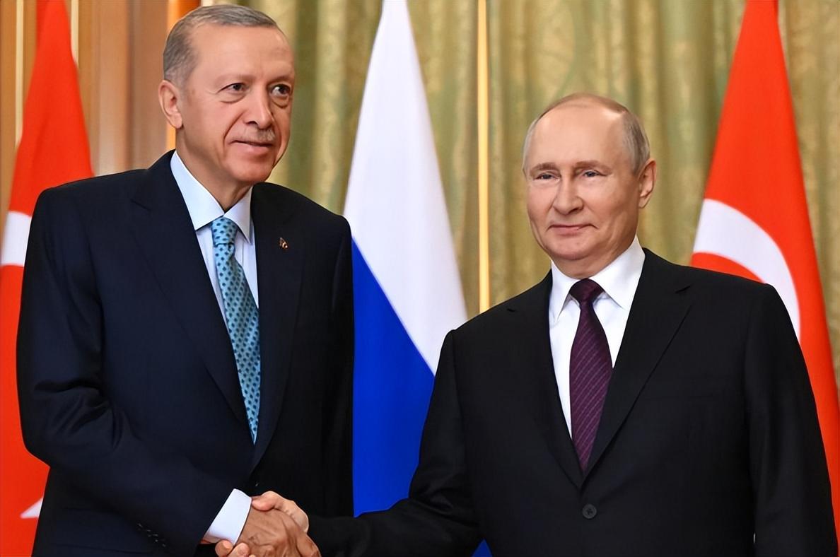 普京提前致电埃尔多安，划定土耳其调解底线
 泽连斯基4月访问土耳其和埃尔多安密谈