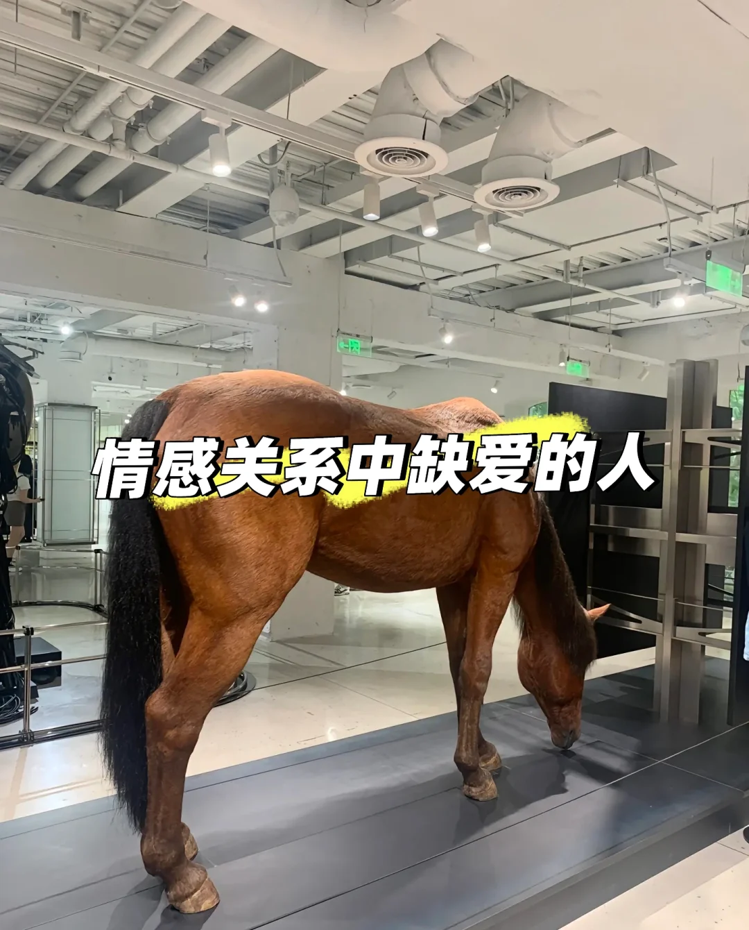 情感关系中缺爱的人