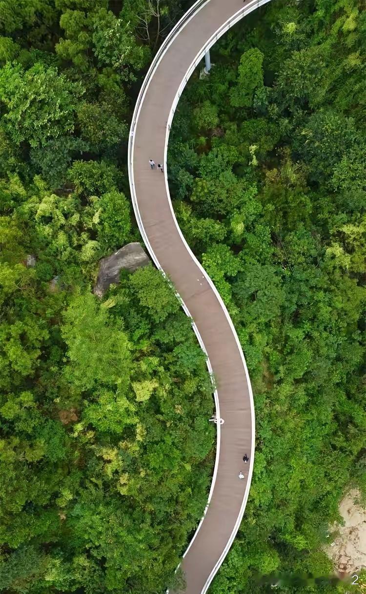 社会观察家说，多数中年男女在情感上都不干净。
男人有本事就容易向外找女人。
女人