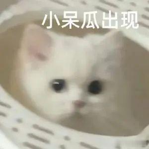 今天就不咧咧啦发发呆