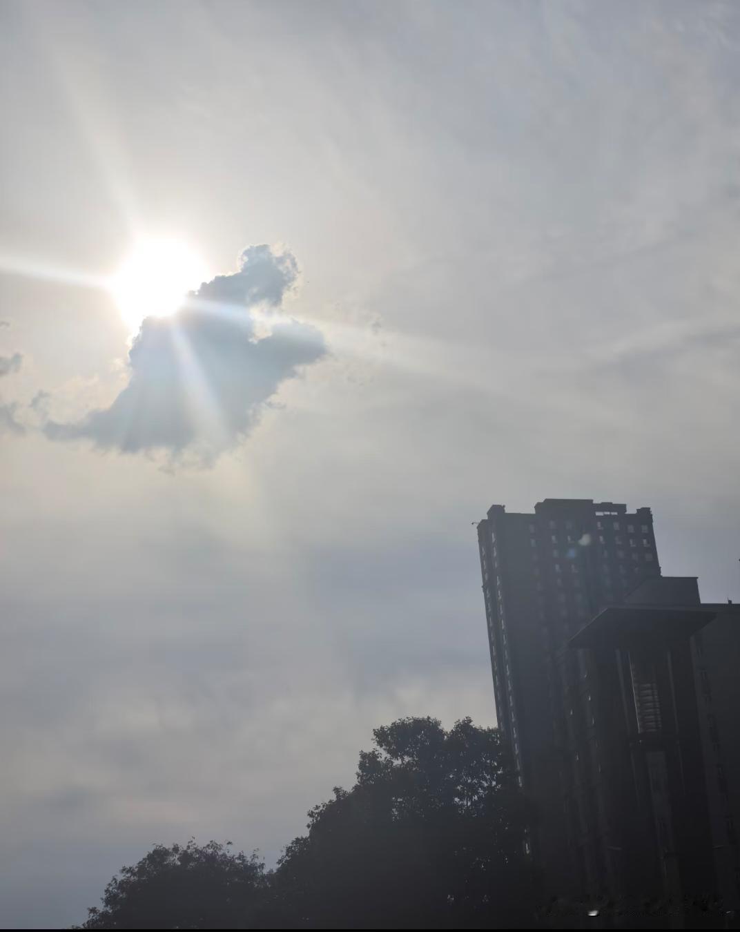 是最初的拥抱？是抱着去世的爱的人？致敬周星驰的《大话西游》