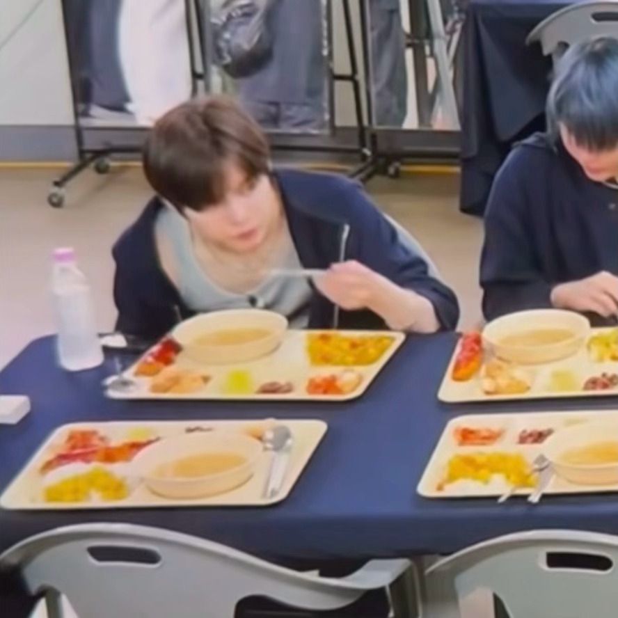 小猪进食 