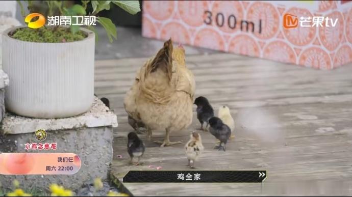 我们仨到湖南春游啦#看得出来他们三个关系真的很好了，都盖一床被子了，真的是羡慕他