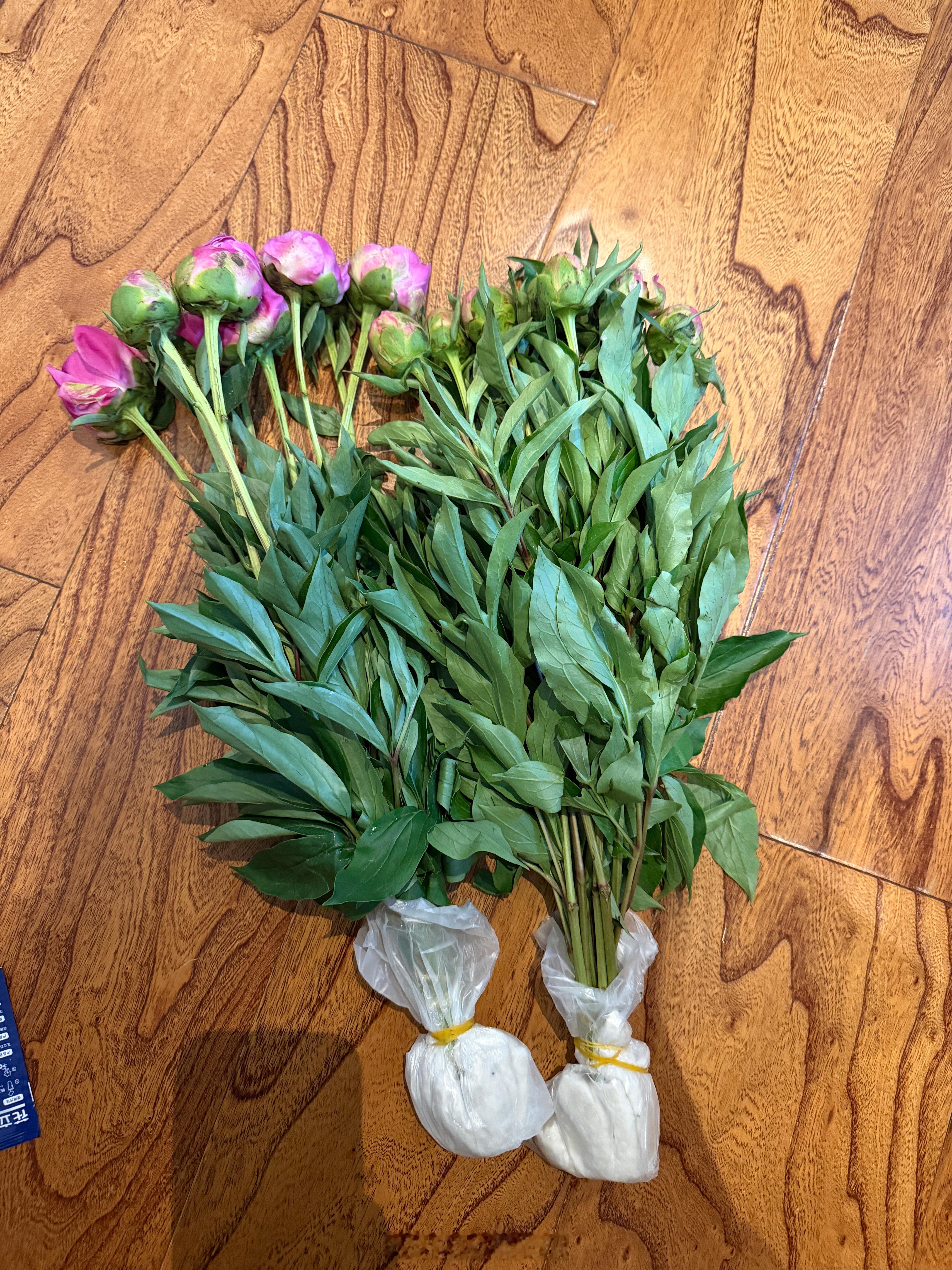 北京碎片 买山东芍药还是抖x靠谱，30块钱可以买到20枝还很饱满。之前小地瓜又上