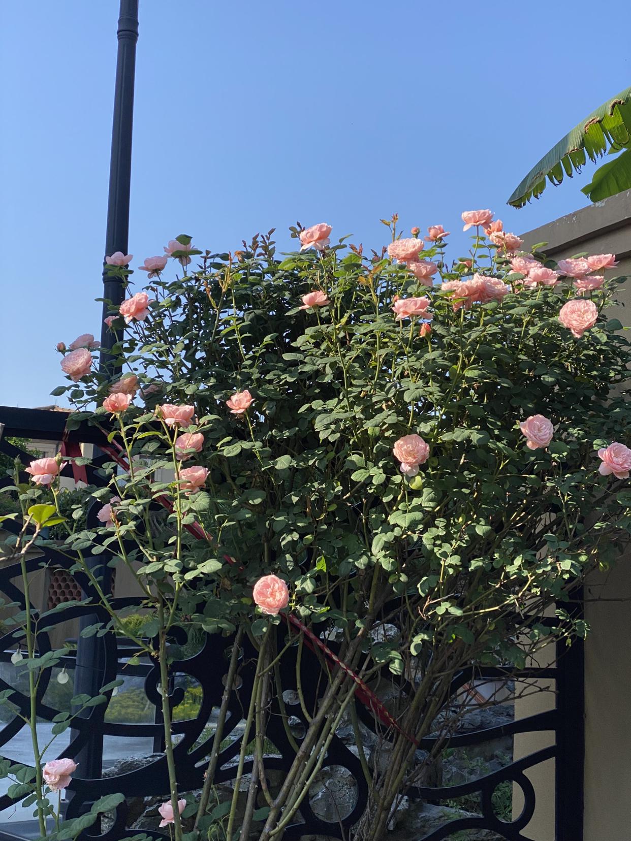 我的今日状态：😁轻松愉快
我这里的天气：☀️晴天