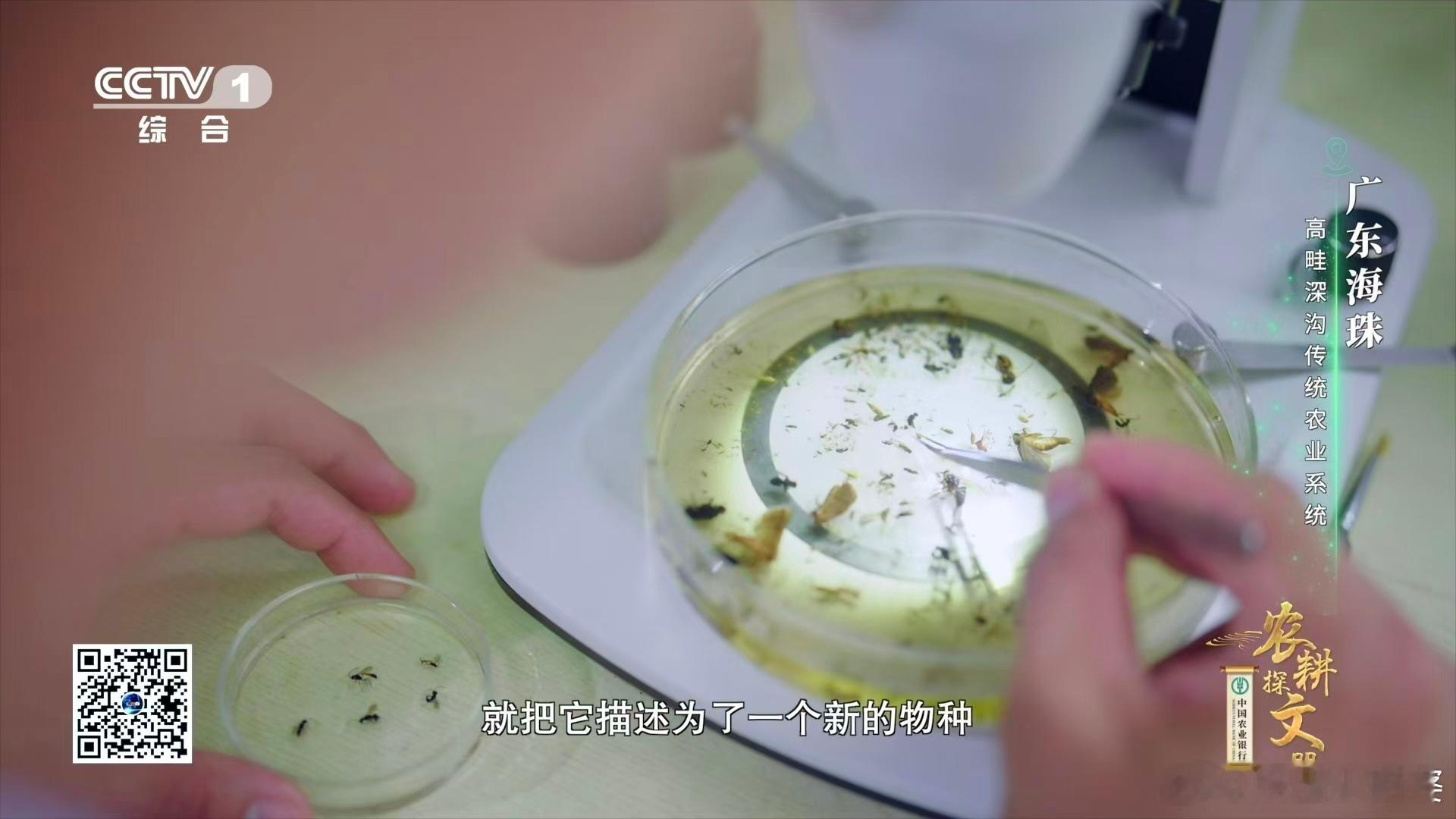 农耕探文明 谁看《农耕探文明》不被惊艳啊！CCTV-1 这档农业纪录片，内容扎实
