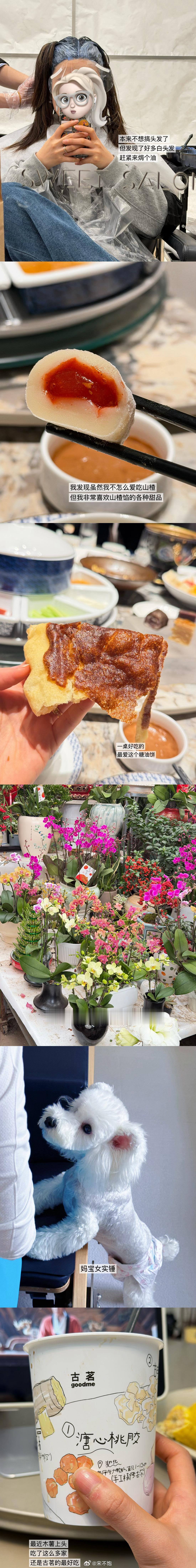 生活碎片 plog.265 