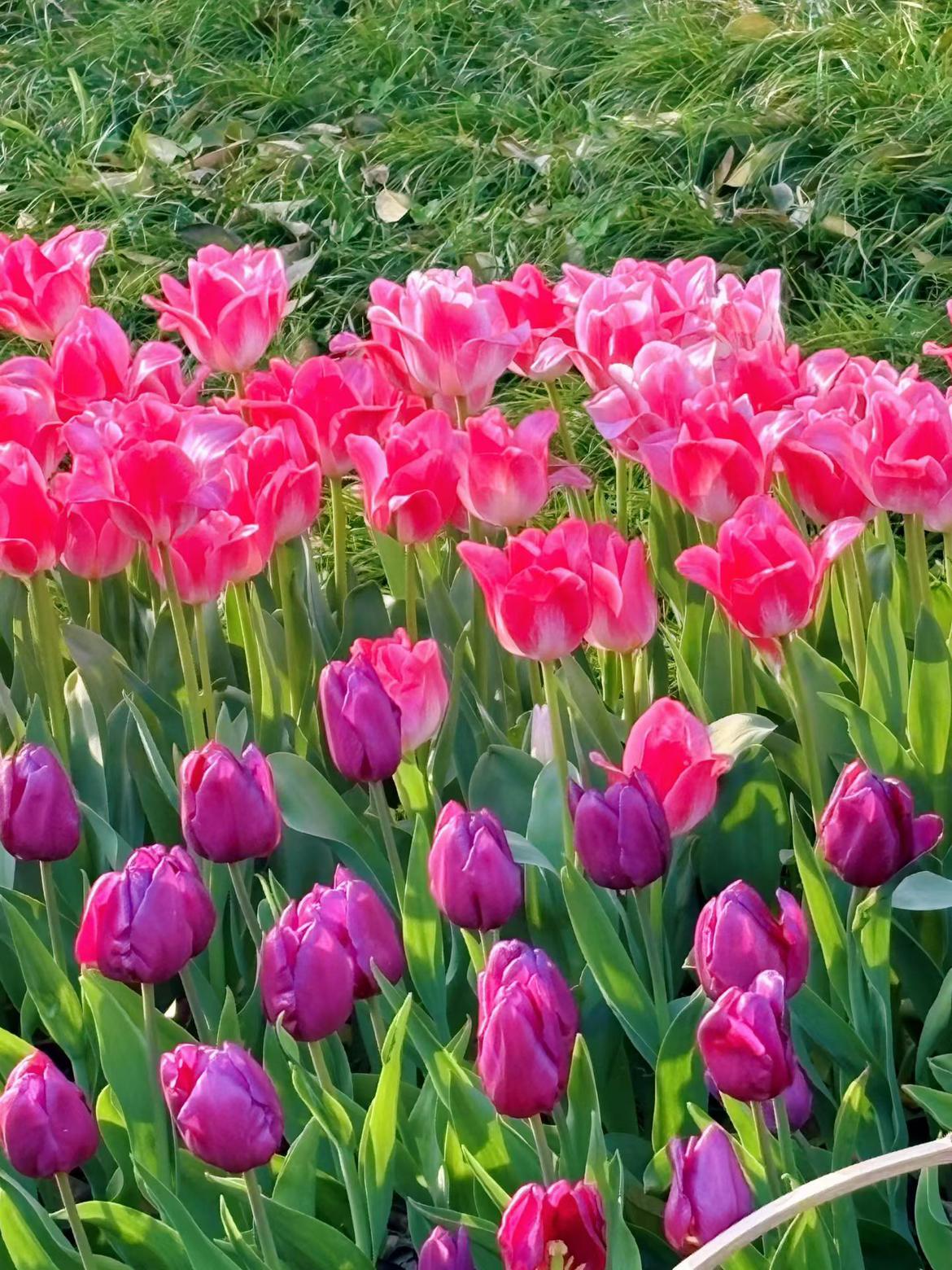 我的今日状态：😁轻松愉快
我这里的天气：☀️晴天