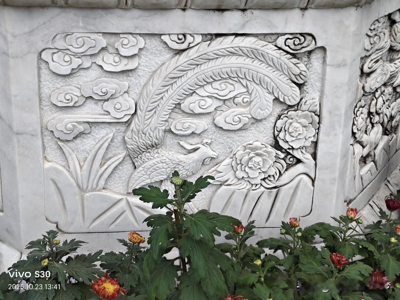 冬日生活打卡季