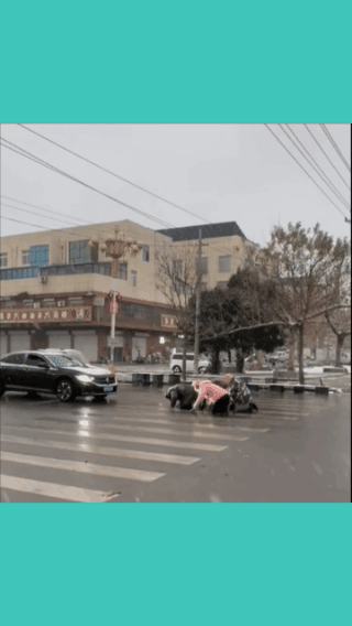 礼让行人，
被厚礼回谢！