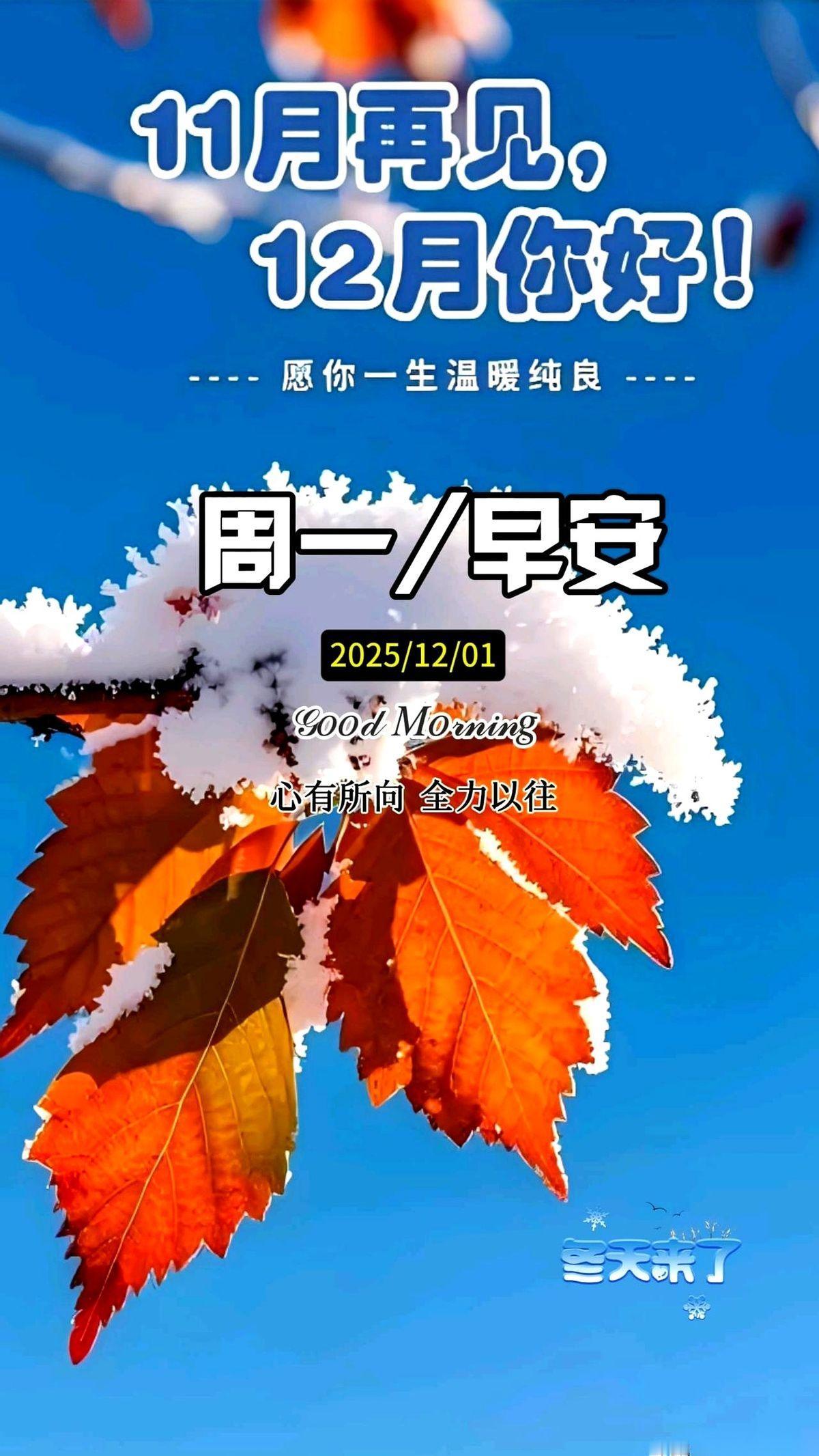 妈呀，一睁眼，2025就剩最后这31天了。
就问你慌不慌。
年初吹的牛、立的fl