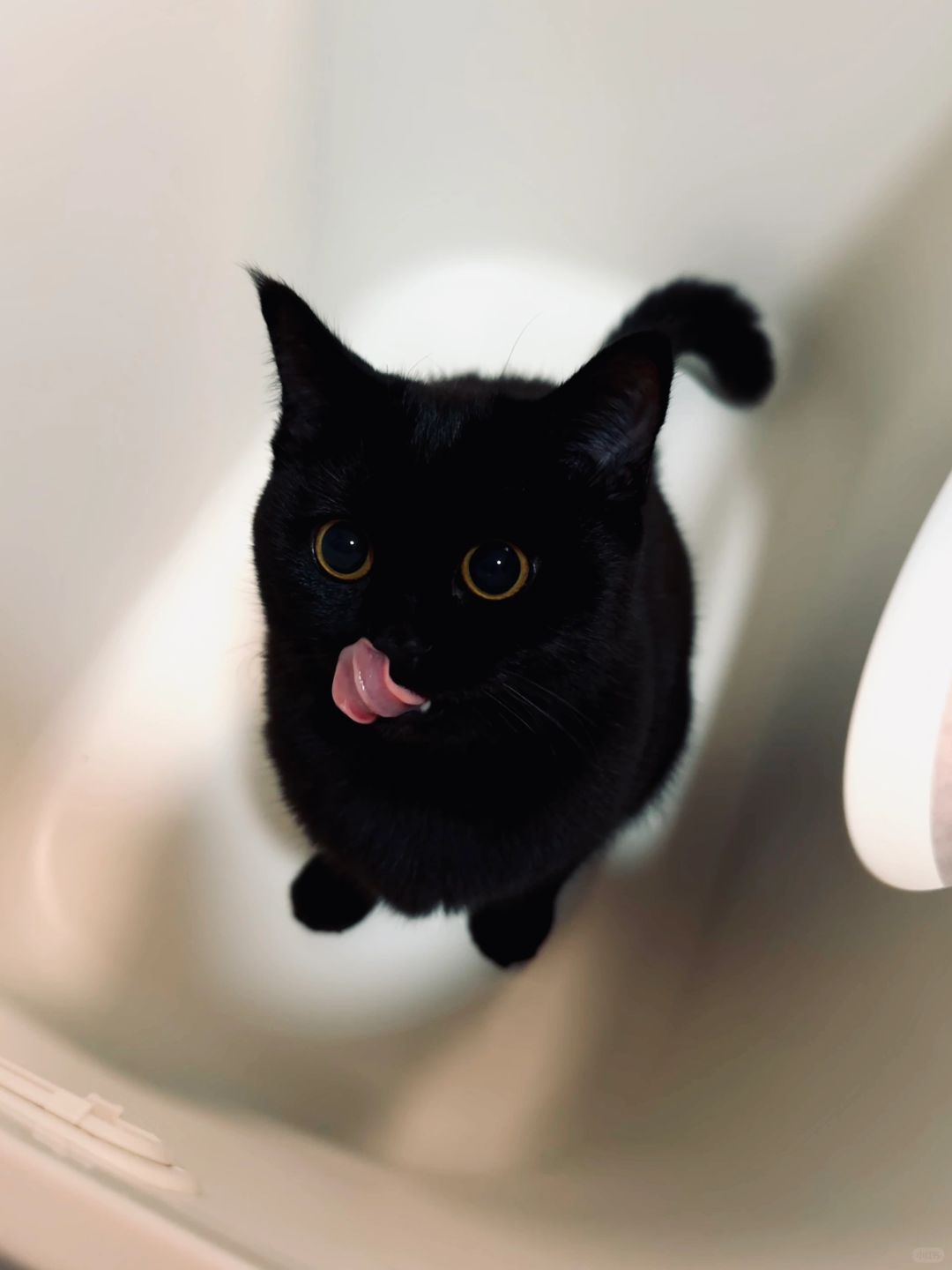 姨 以后你不用要强了