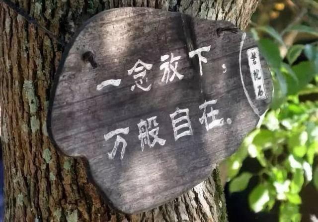 中年危机最好的解药，终究是与自己和解。昨天一位粉丝倾诉，中年接连遭遇失业、家庭破