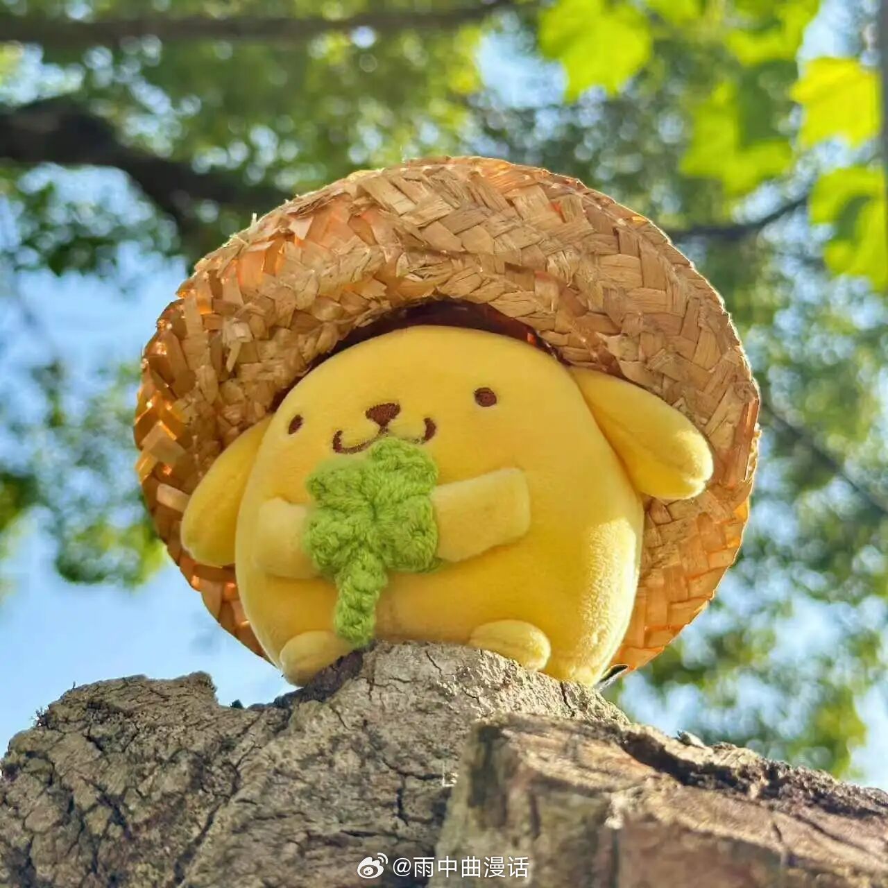 三丽鸥[超话]布丁狗30周年布丁狗的Pompom内容集四叶草与布丁狗，为你带来萌