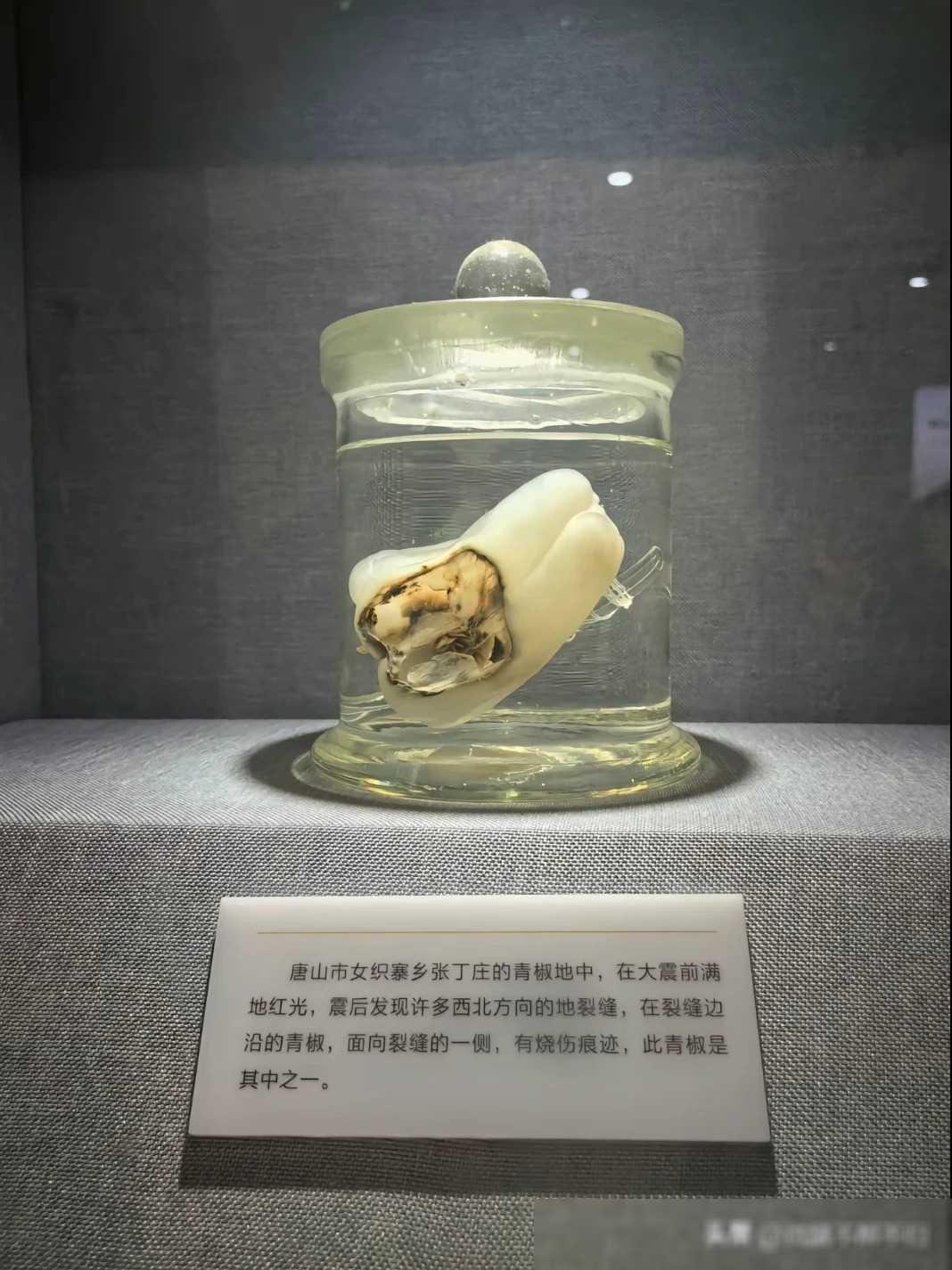 标题：大地震的恐怖：超乎想象的破坏力
大地震，听起来就让人胆颤心惊。它的恐怖程度