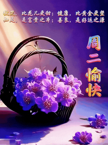 一人一句新年祝福新的一年，新的开始，热爱自己，热爱生活！