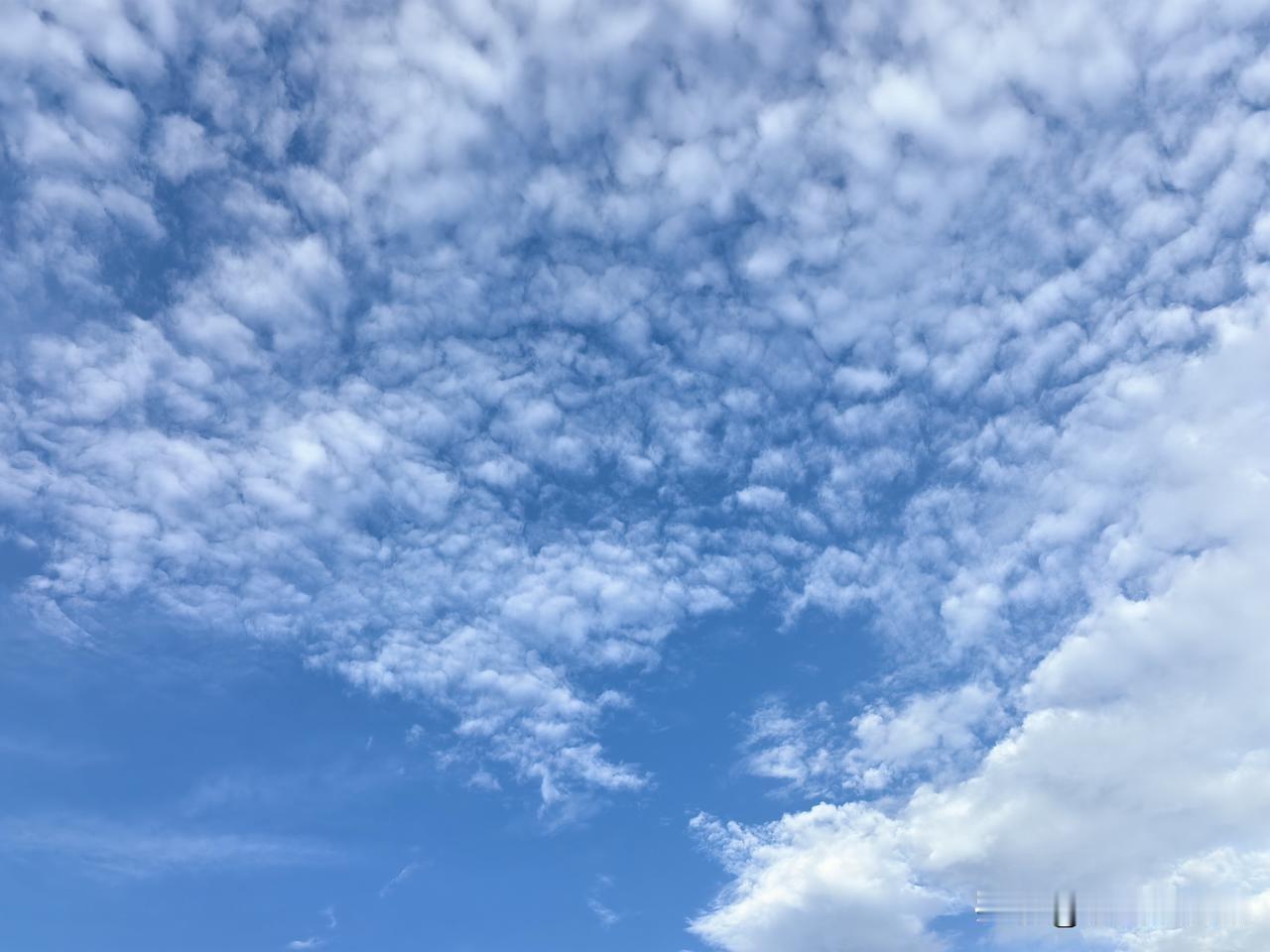 通勤时间每天3个小时

一女子每天往返北京天津两地上班，通勤时间长达3个小时。