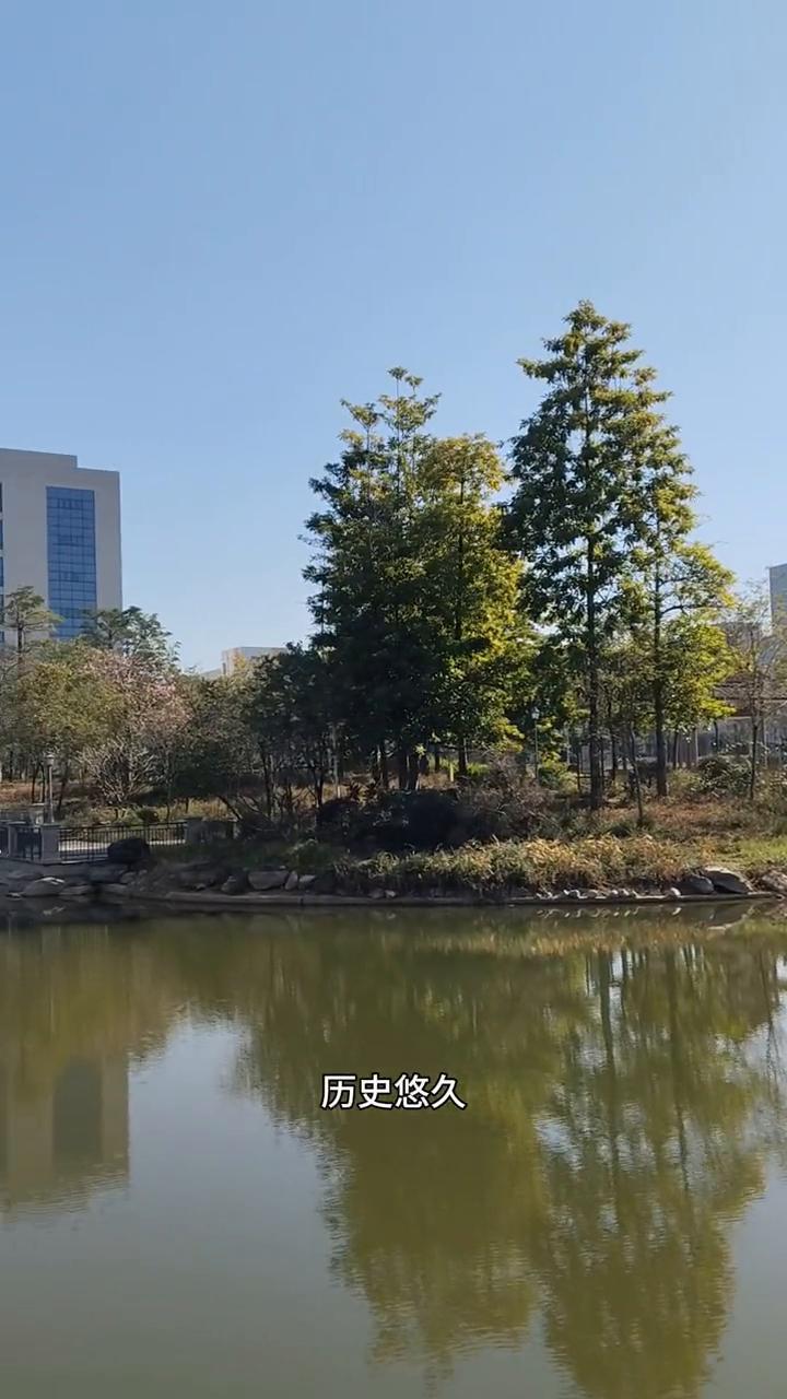 四川大学简称川大，作为中国教育部直属的全国重点大学，历史悠久，文化底蕴深厚。前身