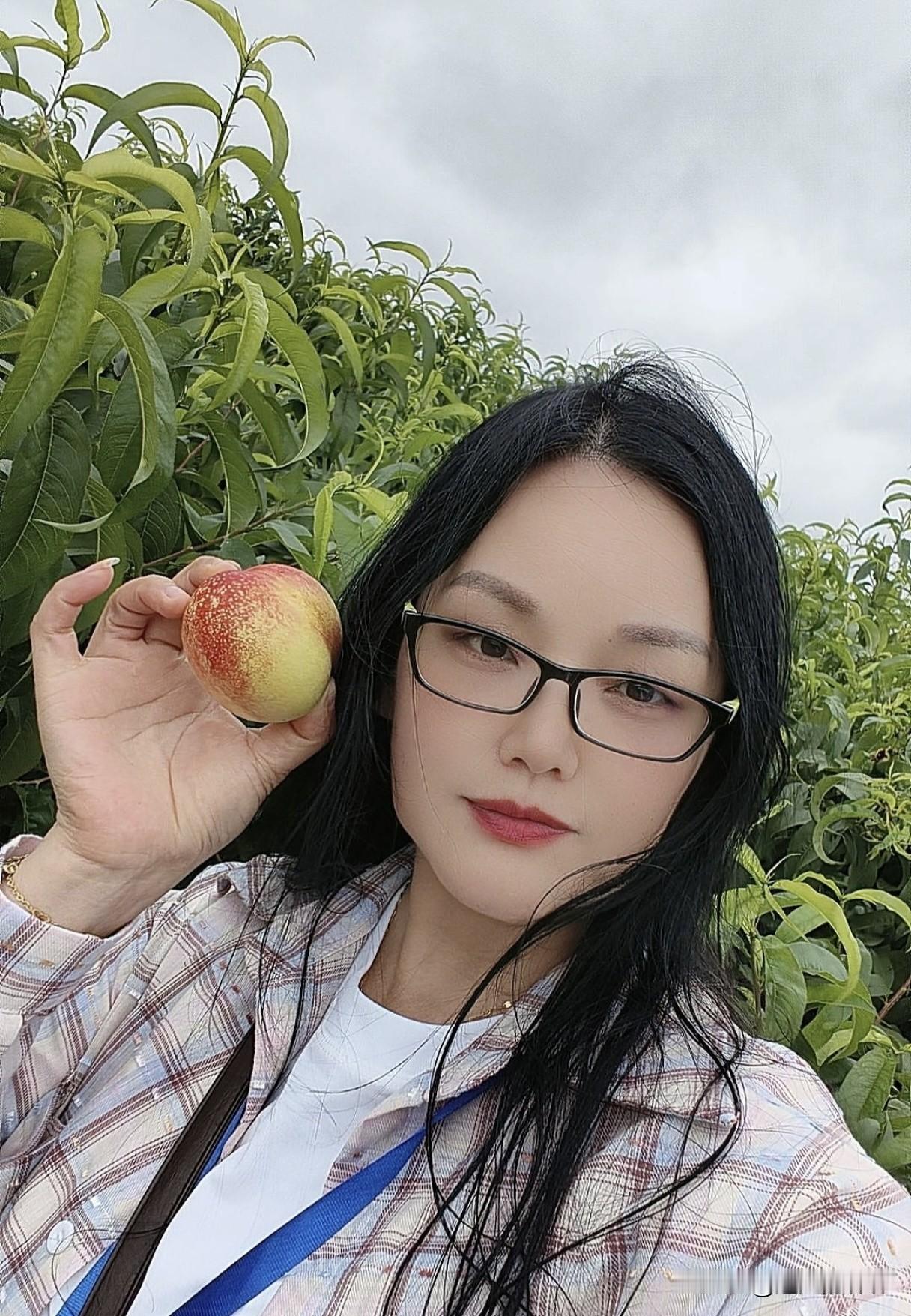 枣阳皇桃5·18全网预售啦！皇桃开园，“枣”点下单
说句实话，我早就听说枣阳的皇