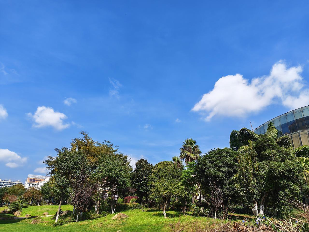 在职场上混久了，特别要注意四种人：
    跟你讲情杯的，跟你讲奉献的，跟你讲国