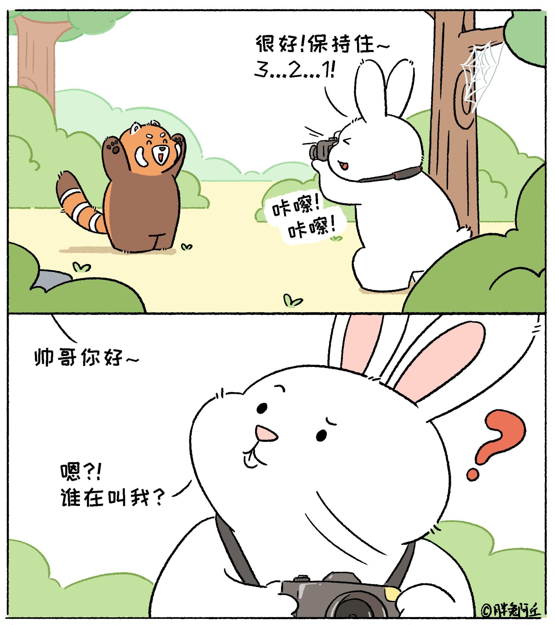 治愈系小动物漫画  小动物们能有多治愈 和小动物们的春日治愈之旅 万物有灵