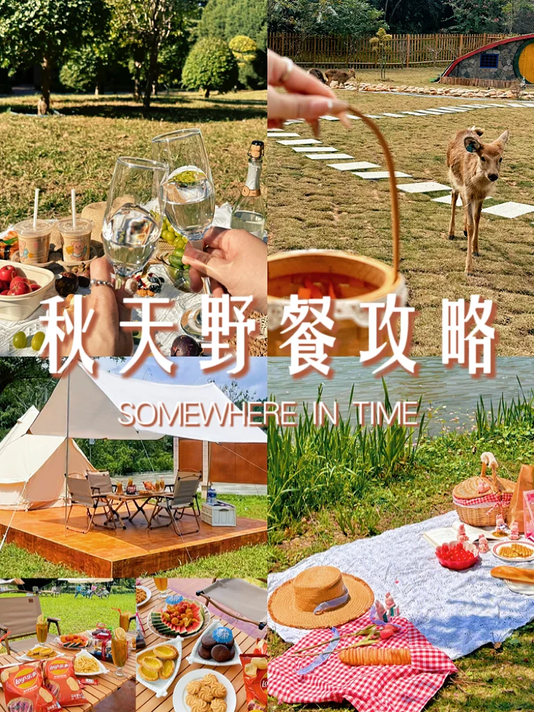 秋天的第一次野餐|艾特姐妹秋游去（附攻略）