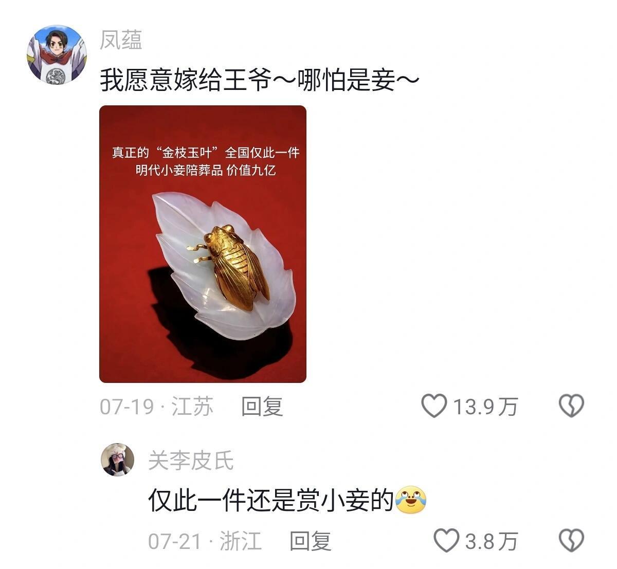 怪不得小说女主会为了一个簪子大打出手 ​​​