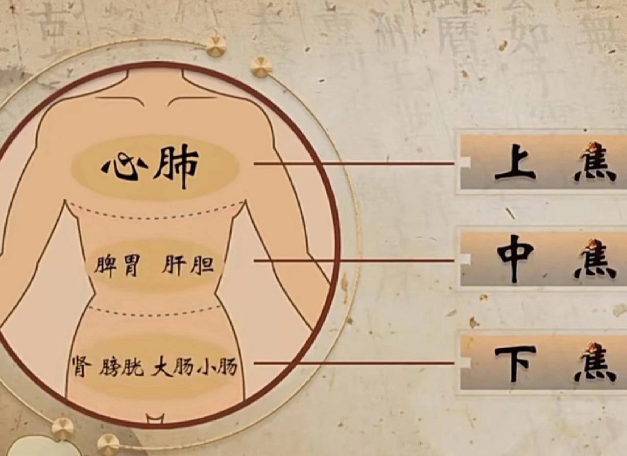 通上焦，疏中焦，清下焦，三焦一通，万病无踪！

通上焦
辨证: 心肺居上焦，心主