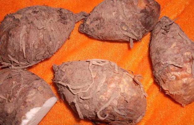 痰湿久了，1味中药材替换陈皮，强力除痰，软坚散结消囊肿

中医里说“无痰不成核”