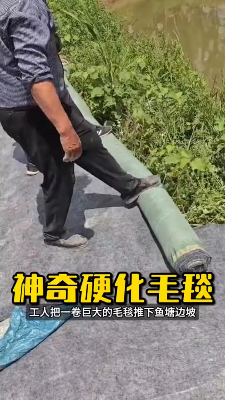 神奇硬化毛毯。
注意看，工人把一卷巨大的毛毯推下鱼塘边坡，原本杂草丛生的斜坡瞬间
