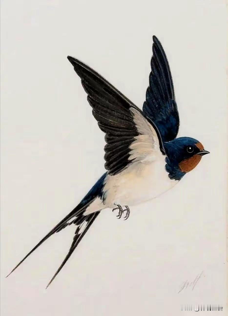 上世纪八九十年代之前，从春天到秋天，无论是农村还是城市，到处都能看到燕子。不仅如