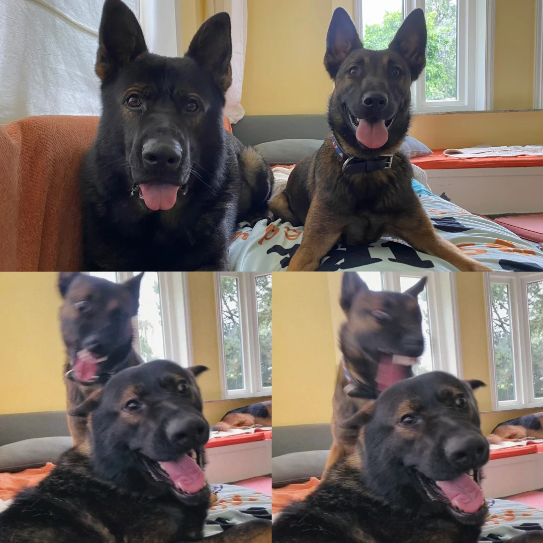 哈欠：妈妈我后脖子怎么突然一凉