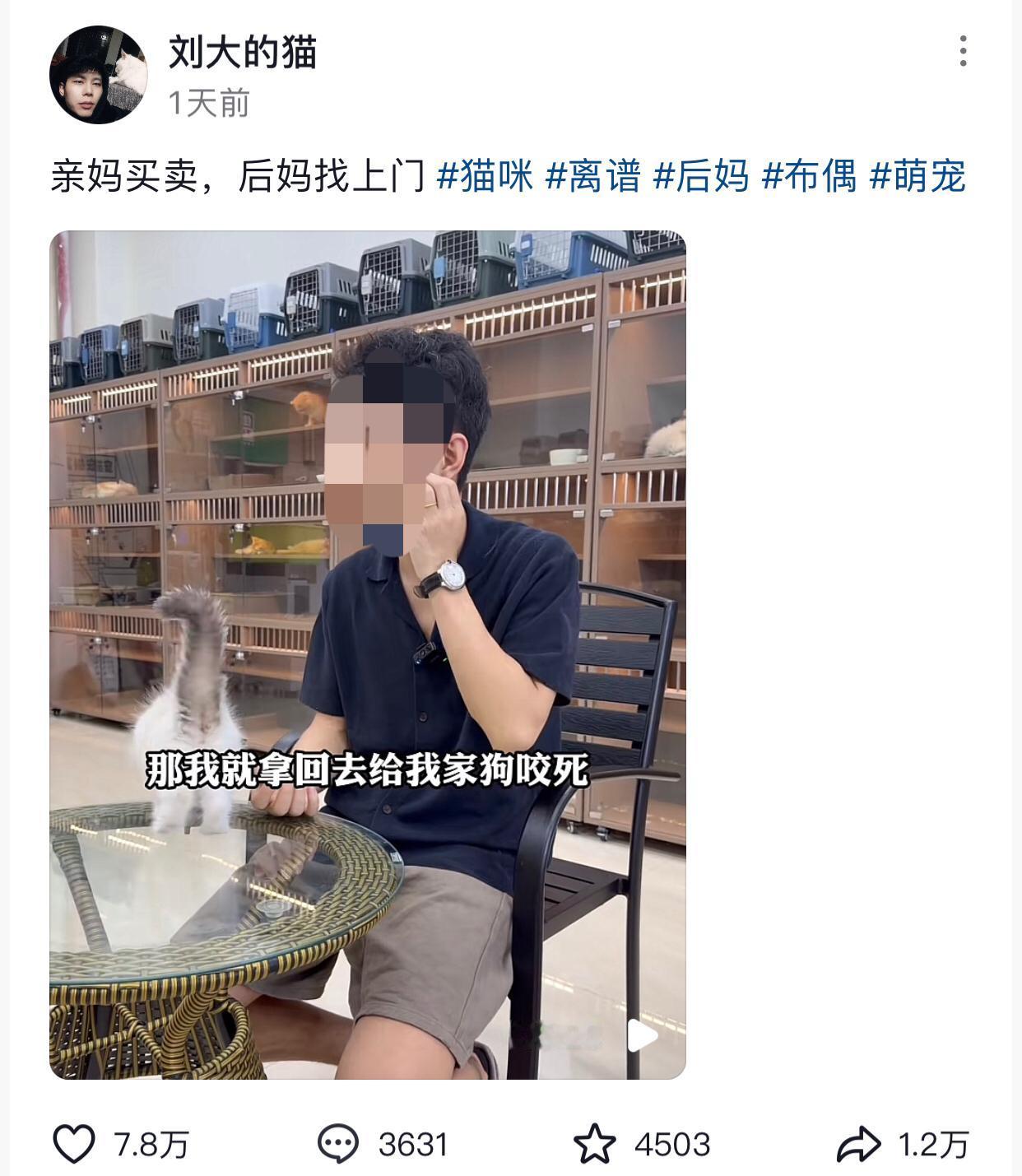 亲妈买猫送闺女，后妈立马拿去退货套现。
起因是宠物店老板前脚刚卖出去一只猫，后脚