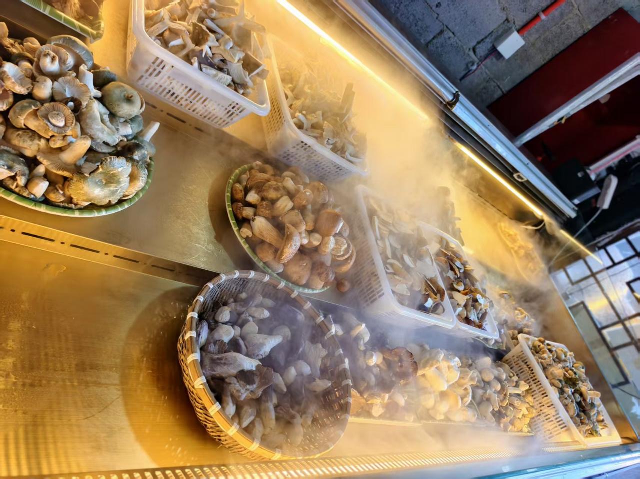 据说到威宁一定要去吃野生菌火锅，据说不少威宁人也不敢吃野生菌。这里的野生菌火锅要